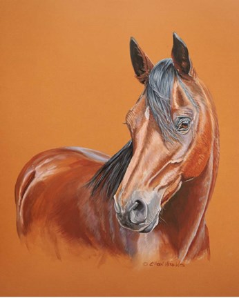 Framed Gambler Horse Print