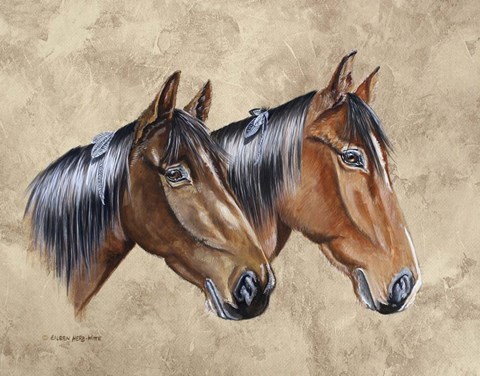 Framed Sanders Horses Feathers Print