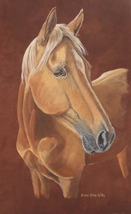 Framed Sunkist Horse Print