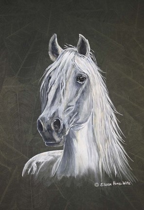 Framed White Stallion Print