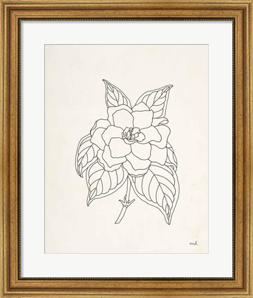 Framed Gardenia Line Drawing Print
