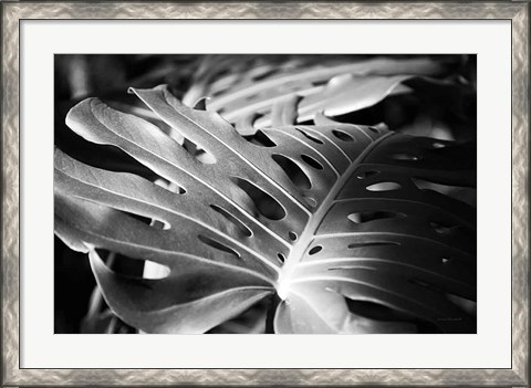 Framed Philodendron Print