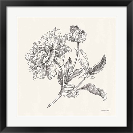 Framed Flower Sketches I Print