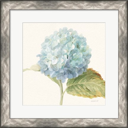 Framed Floursack Florals V - Blue Hydrangea Crop Print