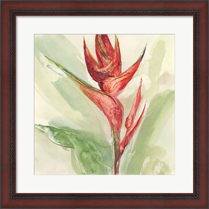 Framed Exotic Flower IV Print