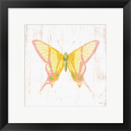 Framed White Barn Butterflies IV Print