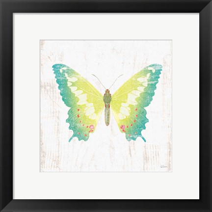 Framed White Barn Butterflies III Print