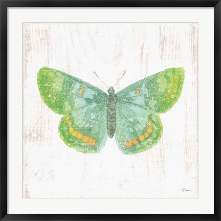 Framed White Barn Butterflies II Print