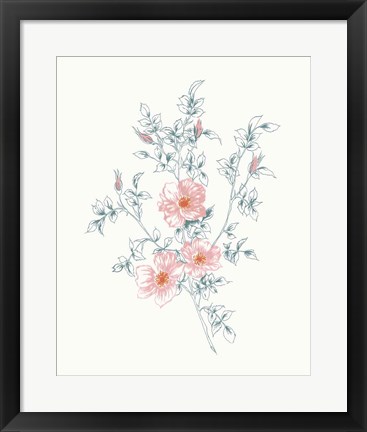 Framed Flowers on White II Contemporary Bright Print