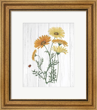 Framed Botanical Bouquet on Wood I Print