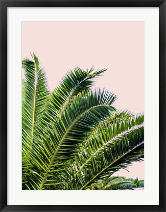 Framed Tropical Leaves on Blush I Print