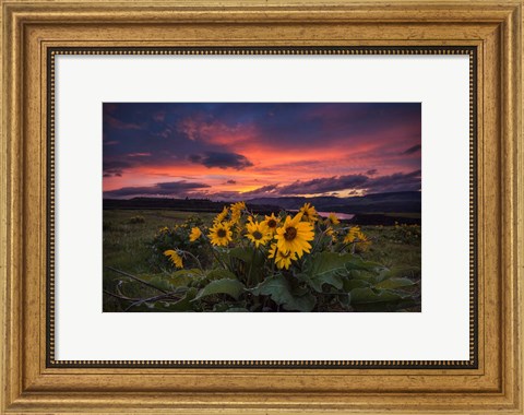 Framed Sunset at the Gorge Print