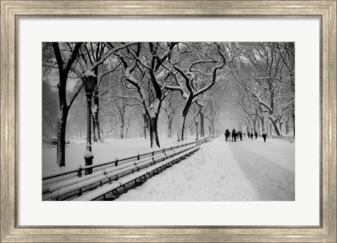 Framed Central Park Snow Print