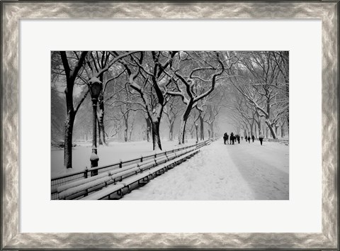 Framed Central Park Snow Print