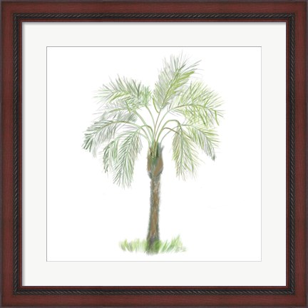 Framed Palm Tree on White II Print