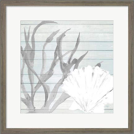 Framed Seashell on Blue Wood Print