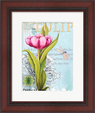 Framed Elegant Tulip I Print