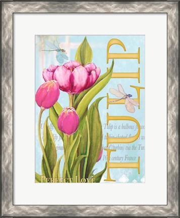 Framed Elegant Tulip II Print