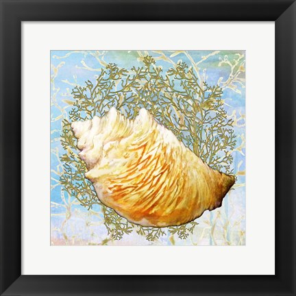 Framed Shell Medley IV Print