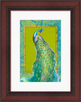 Framed Peacock Daze I Print