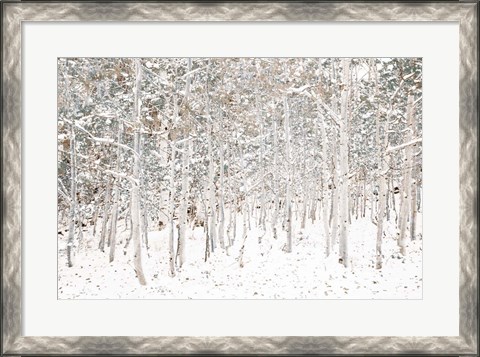 Framed White Snow Wonderland Print