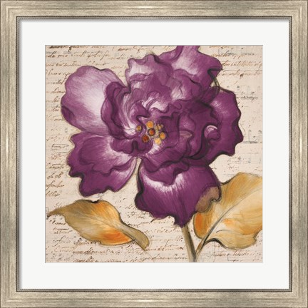 Framed Lilac Beauty I Print