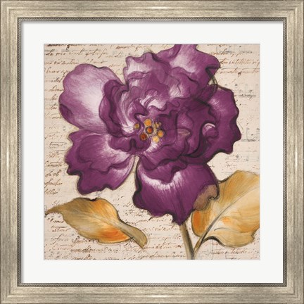 Framed Lilac Beauty I Print