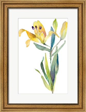 Framed Yellow Lily Print