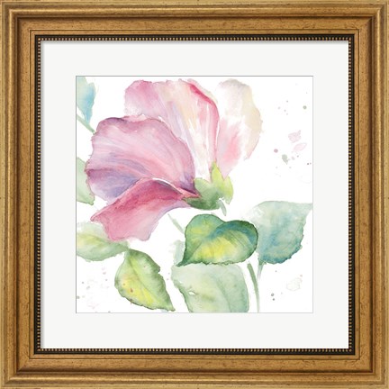 Framed Fragrant Hibiscus I Print