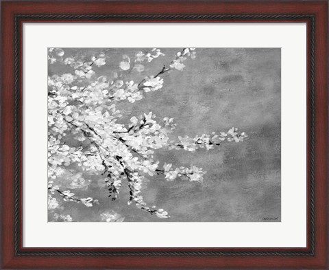 Framed Sakura Silver Print