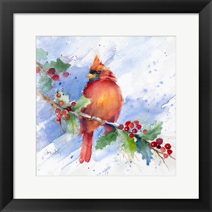 Framed Cardinal on Holly Branch Print