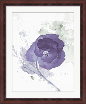 Framed Translucent Mauve Poppy II Print