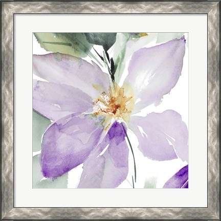 Framed Clematis in Purple Shades I Print