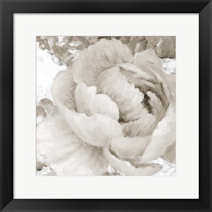 Framed Light Grey Flowers II Print