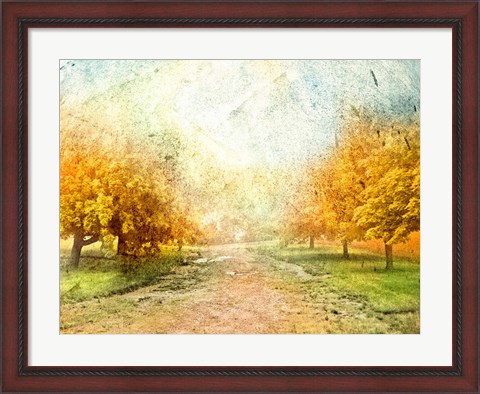 Framed Oak Path Print