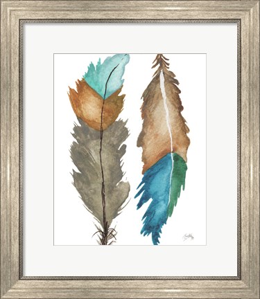 Framed Decorative Feathers Print