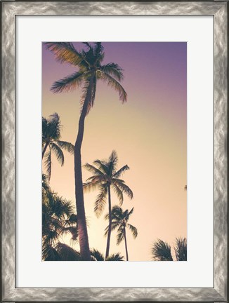 Framed Evening Palms Print