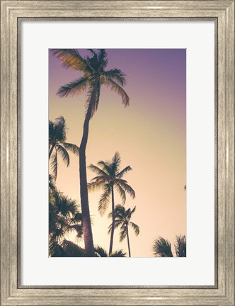 Framed Evening Palms Print