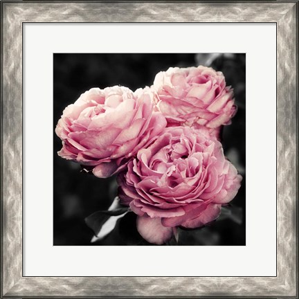 Framed Pink Florals in Noir Print