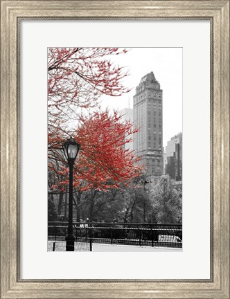 Framed Central Park with Red Tree Print