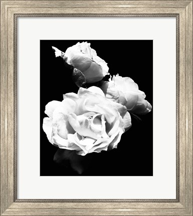 Framed Dramatic Love Blooms  I Print