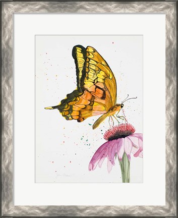 Framed Butterfly Nectar Print