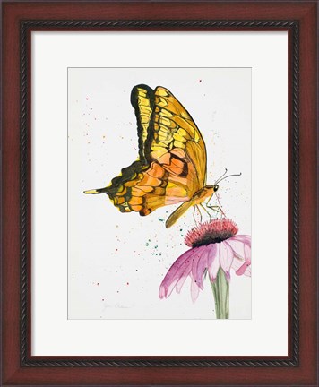 Framed Butterfly Nectar Print