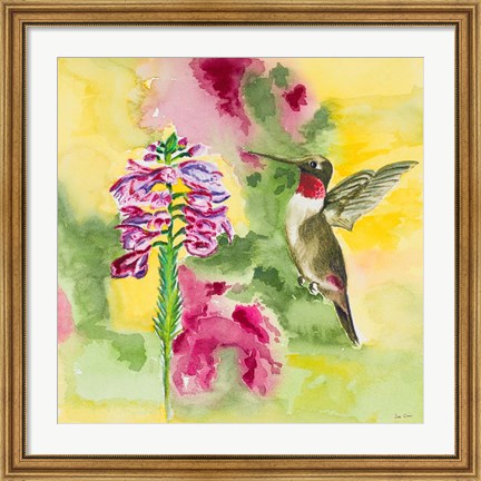 Framed Watercolor Hummingbird Print