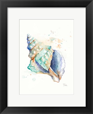 Framed Blue Shell Print