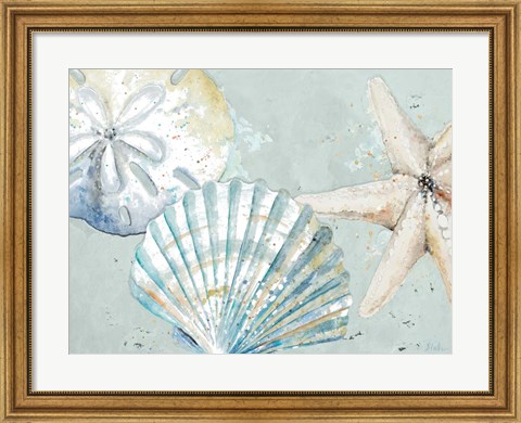 Framed Beach Shells Print