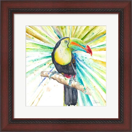 Framed Bright Tropical Toucan Print