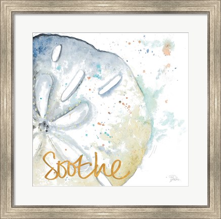 Framed Soothe Water Sand Dollar Print