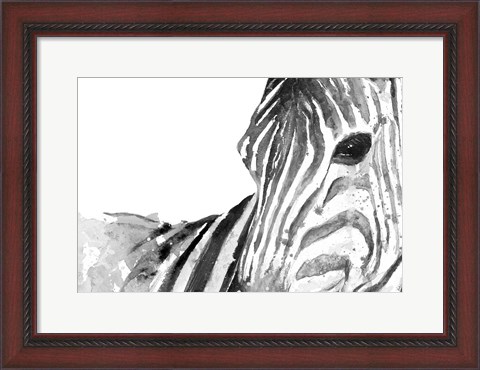 Framed Zebra Gaze Print