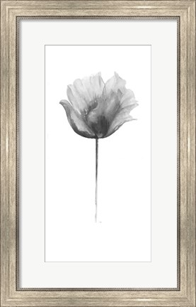 Framed Flower in Gray Panel I Print